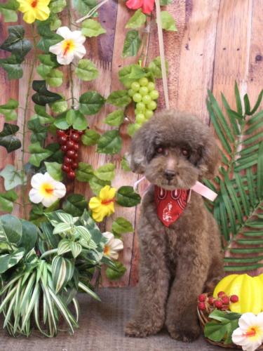 20230824きょうのちゃん